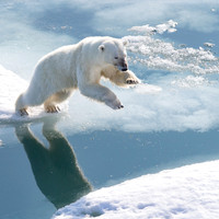 Svalbard