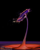Water Splash Shots