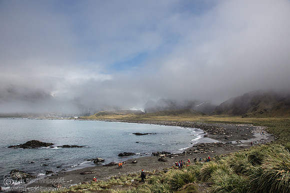 Gold Harbor with tourists