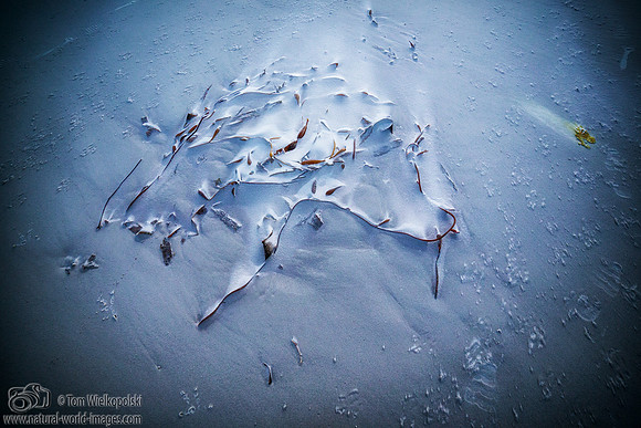 Sand on the Beach